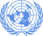 Social impact organization: United Nations (UN)
